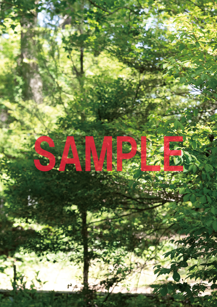 東堂とも 1st写真集 慾望_sample  エロ画像16